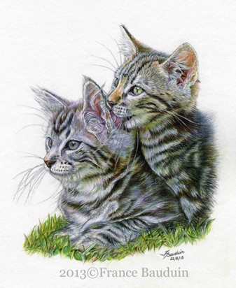 Silver & Gold - 58 days
White Cartridge Paper
9" x 7.5"
From Laila's first litter